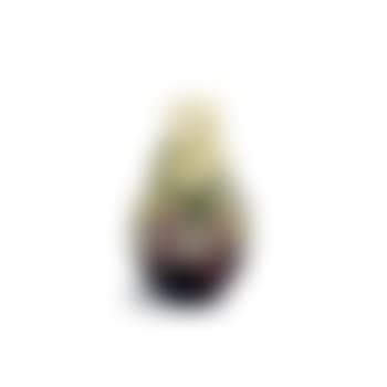 Epine vinette vase ,
1910 (preview)