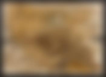 Collage de paille (preview)