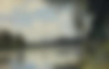 Un pêcheur au bord de la Marne (preview)