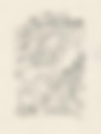 Friedvolle Rheinlandschaft (preview)