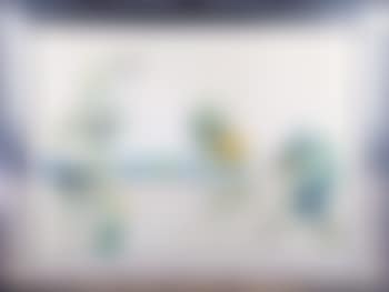 Floredali (preview)