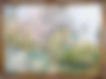 Menton Garavan (preview)