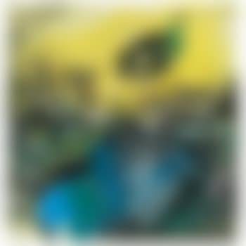 Untitled (preview)
