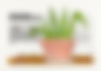 Optimierung (preview)