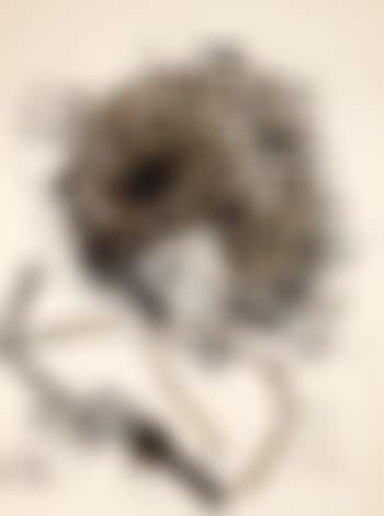 Brett Whiteley Pondering on Erotica ,
1979 (preview)