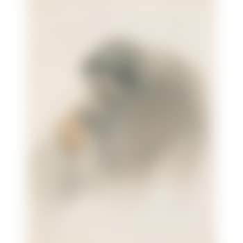Woman Resting (preview)
