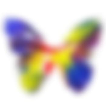 Butterfly Spin Painting (Created at Damien Hirst Spin Workshop) ,
2009 (preview)