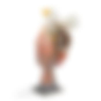 Tête de femme coiffée d'une colombe ,
Circa
2000 (preview)