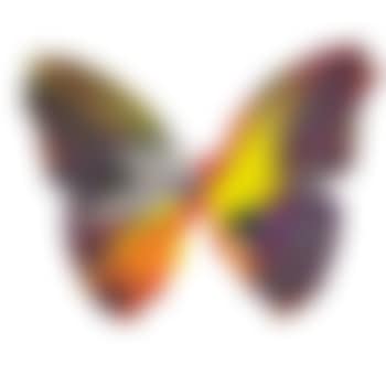 Butterfly Spin Painting (Created at Damien Hirst Spin Workshop) ,
2009 (preview)