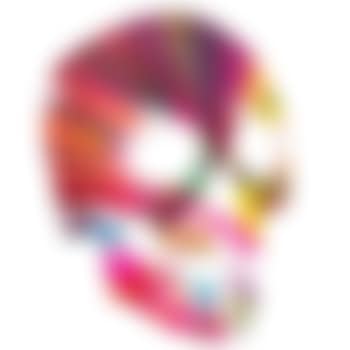 Skull Spin Painting (Created at Damien Hirst Spin Workshop) (preview)