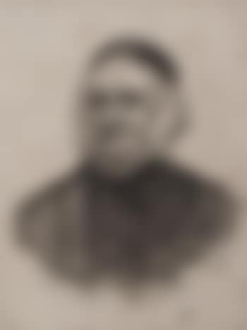 Le Botaniste Scandinave Frise ,
1886 (preview)