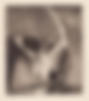 Totentanz ,
1973
-
1974 (preview)