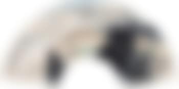 Sparrows (preview)