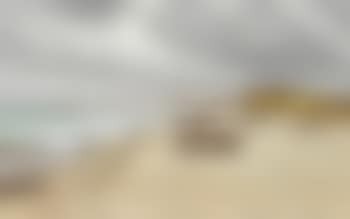 Windy overcast day at Skagen Sønderstrand (preview)