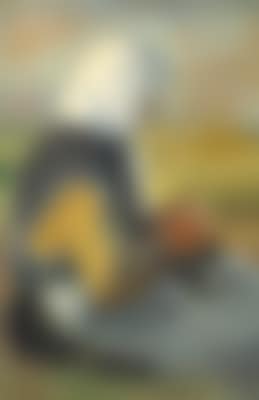 Beach scene with a fisherman's wife from Skagen knitting in the sun (preview)