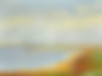 "Vildgæs over Filsø". Wild geese above Filsø (preview)
