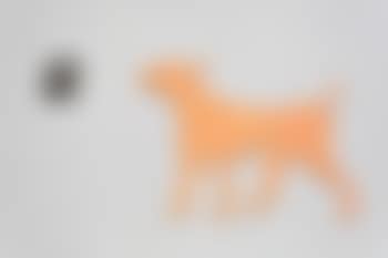 Dog Stoned ,
2002 (preview)