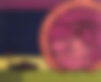 Il giorno dello sport , (preview)