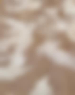 Untitled ,
2005 (preview)