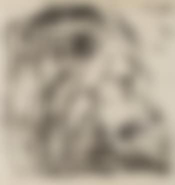 Lejontämjaren/The Lion Tamer/Lovetemmeren ,
1916 (preview)
