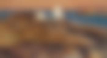 Herring Gulls ,
1913 (preview)