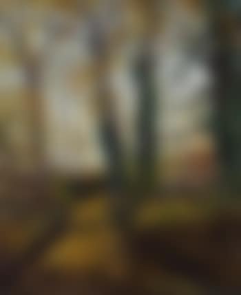 Chemin du coutil en automne (preview)