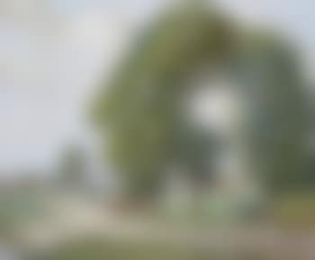 A summer rural scene with harvesters near a village , (preview)