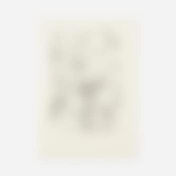 Flower-piece B (Cyan Separation) ,
1975 (preview)