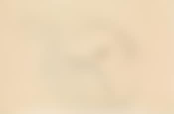 Lying semi-nude with bent left leg ,
1912
-
1913 (preview)
