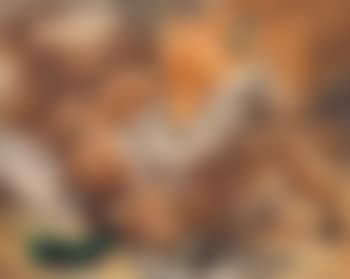 Foxes ,
1970 (preview)