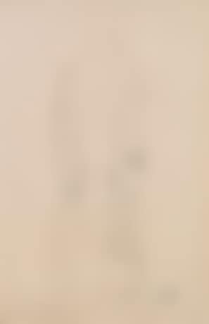 Study for the portrait Miss Lieser ,
1917
-
1918 (preview)