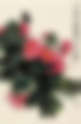 Butterfly and flowers (preview)