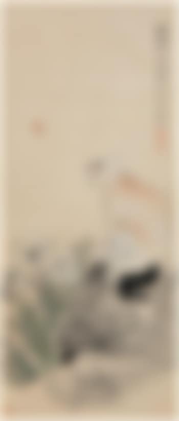 Cat (preview)