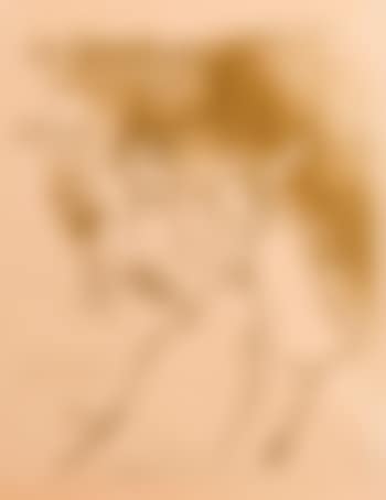 La Goulue valse pour piano , (preview)