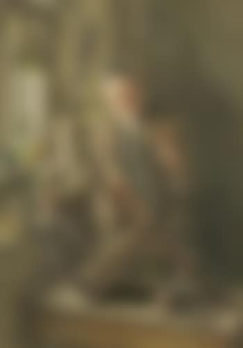 The Broken Leg , (preview)