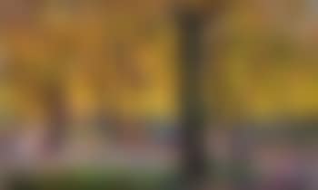 La transhumance , (preview)
