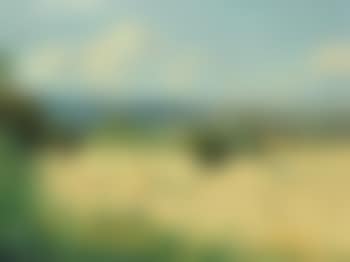 Summer landscape , (preview)