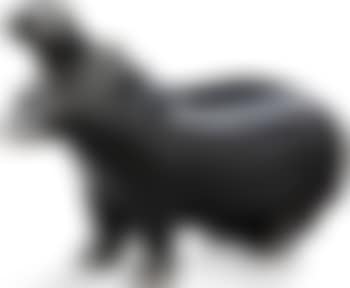 Hippopotame , (preview)