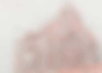 Cloaca Gates Study #255 ,
2005 (preview)