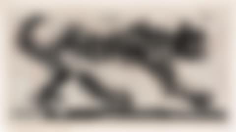 Scribble Cat (preview)