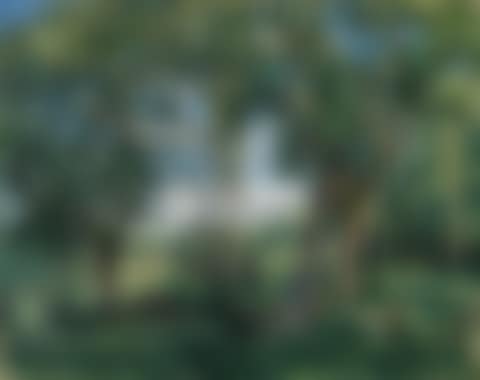 LE REPOS SOUS LES ARBRES (preview)
