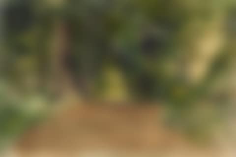 WALDWEG (preview)
