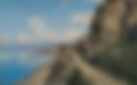 CHEMIN DANS LES VIGNES (preview)