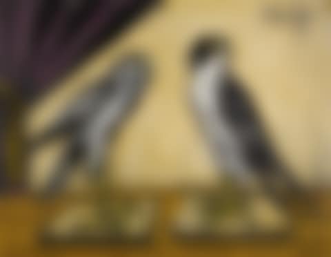 BUSARD ET FAUCON PÉLERIN (preview)