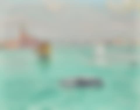 LE VAPORETTO (preview)