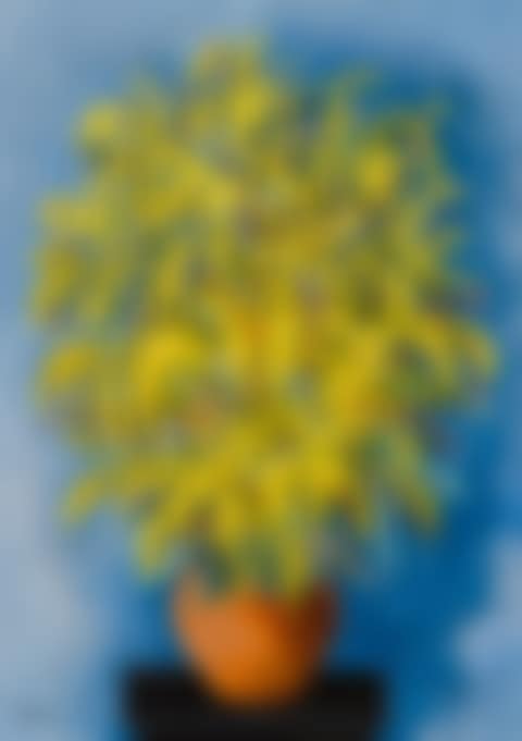MIMOSAS (preview)