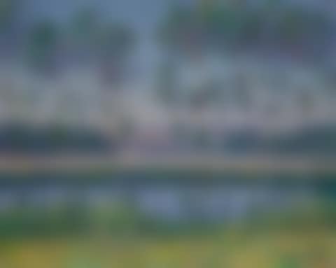 RIVES DE L'EURE EN ÉTÉ (preview)