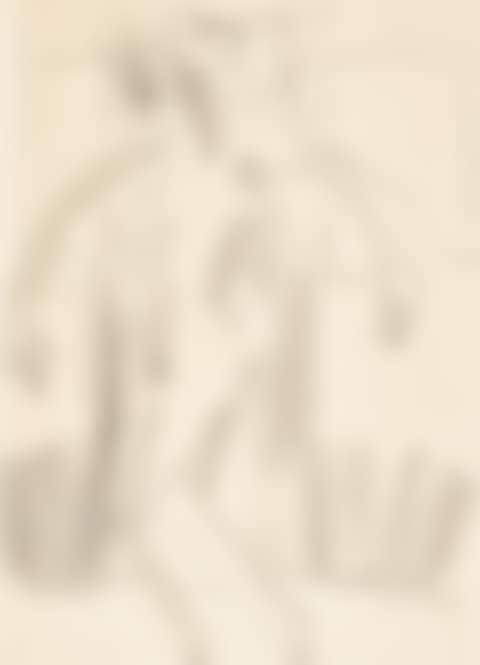 TÄNZERIN (DANCER) (preview)