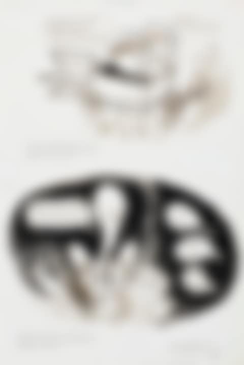 TWO ILLUSTRATIONS FROM HOW TO BE TOPP (preview)
