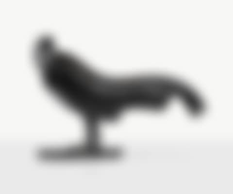 COQ DORMANT (preview)